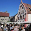 helmutIMG_0679