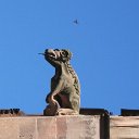 helmutIMG_0680