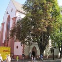 helmutIMG_0695