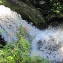 helmutIMG_0446