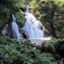 helmutIMG_0449