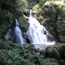 helmutIMG_0450