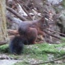 helmutIMG_0455
