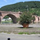 helmutIMG_0756