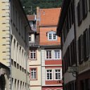 helmutIMG_0804