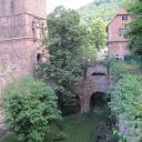 helmutIMG_0819